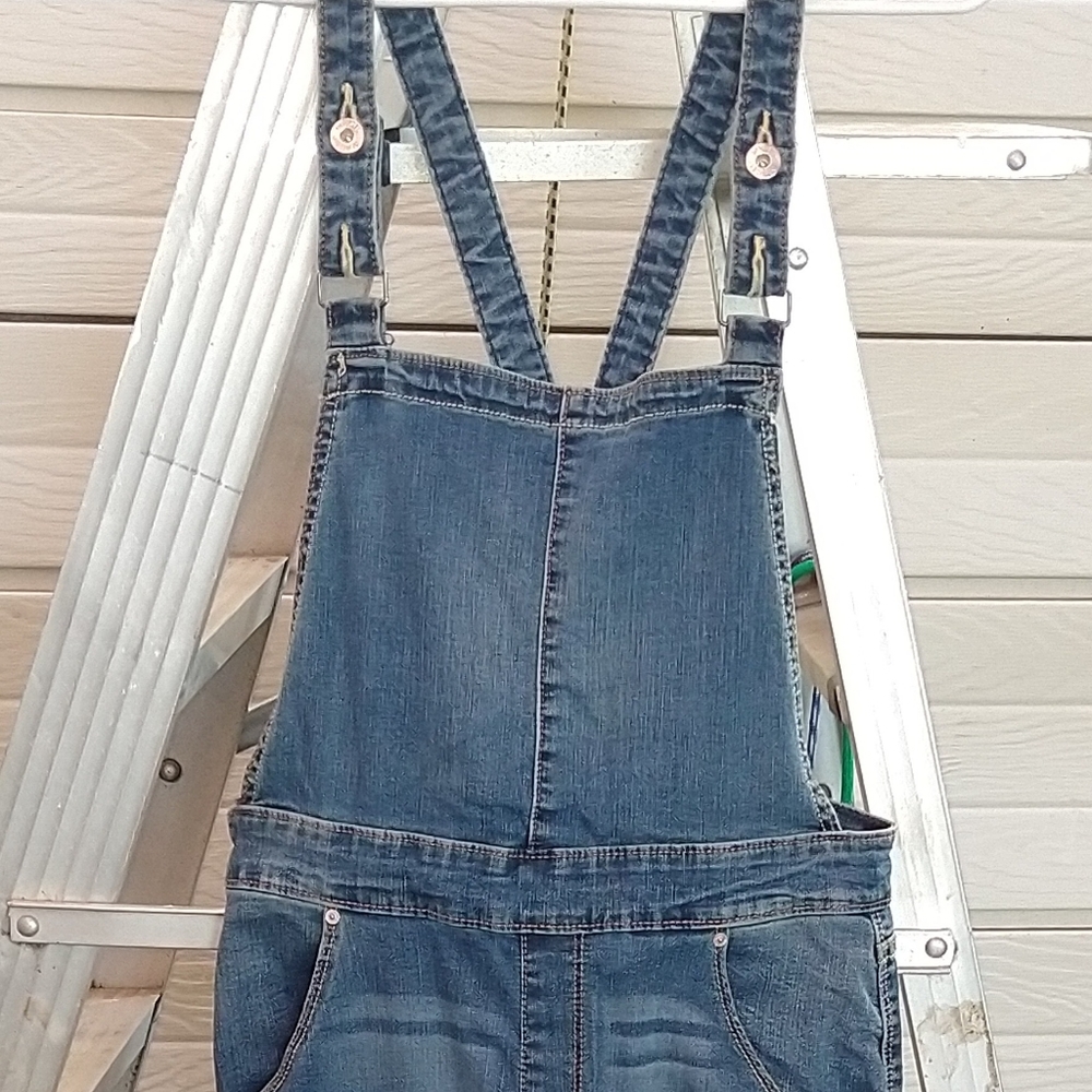 Denizen Levi's Overalls